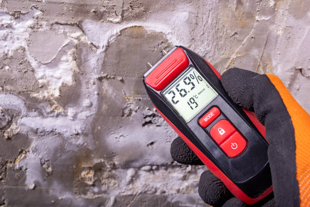 Best Mold Remediation for Schools in Comstock Northwest, MI
