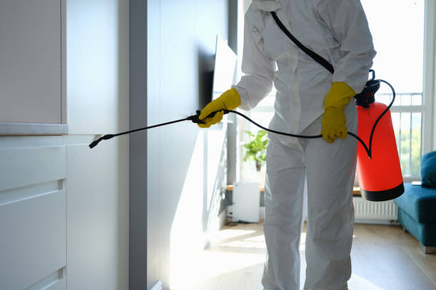 Best Residential Mold Remediation in Comstock Northwest, MI