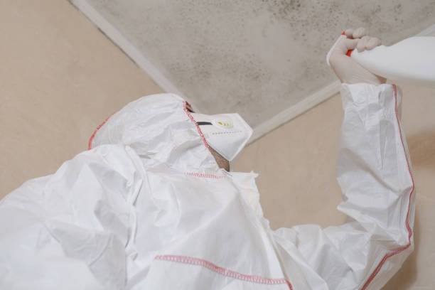Comstock Northwest, MI Mold Remediation Company