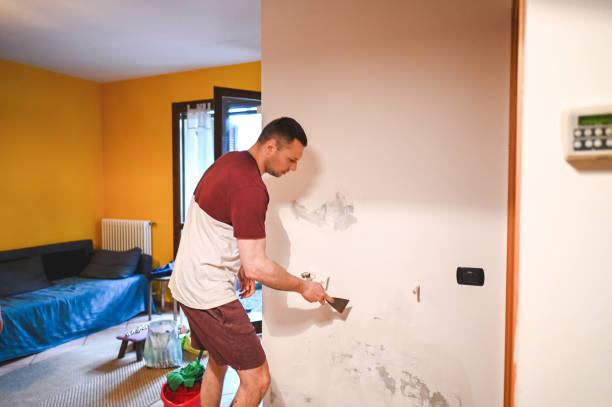 Best Mold Testing and Inspection Services in Comstock Northwest, MI