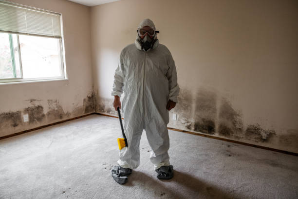 Best Bathroom Mold Remediation in Comstock Northwest, MI